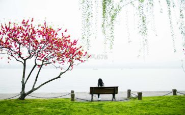 发现的造句