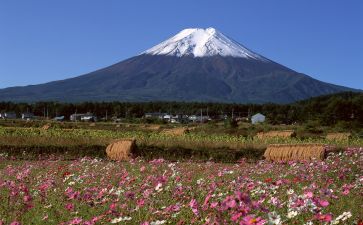 填的造句