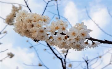 热情的造句