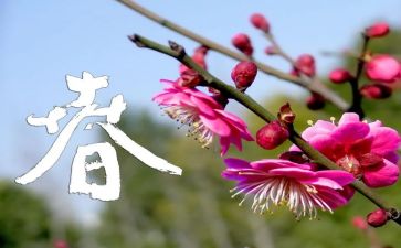 假如的造句