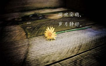 我的小的造句