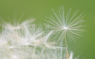 打我的造句